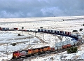 ATSF 909 at Sais, NM in March 1999